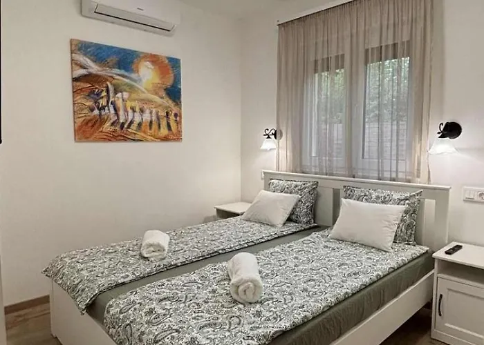 Pajtas * 鲍洛通费尼韦什